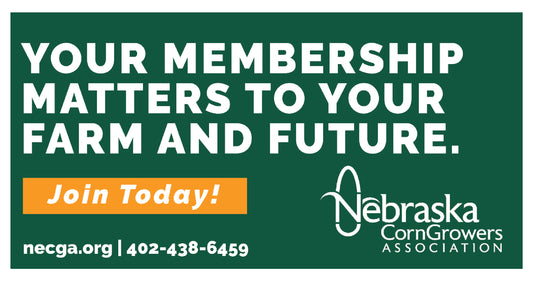 24" X 12" Outdoor Decals